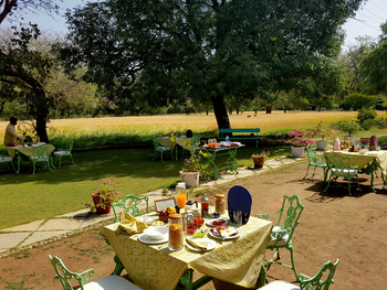 Shahpura Bagh: Frühstück