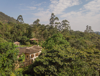 Volcanoes Bwindi Lodge: Lage im Grünen