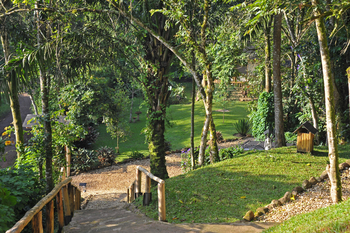 Buhoma Lodge: Garten