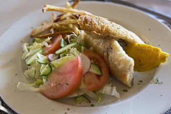 Desert Hills Glamping: Salat