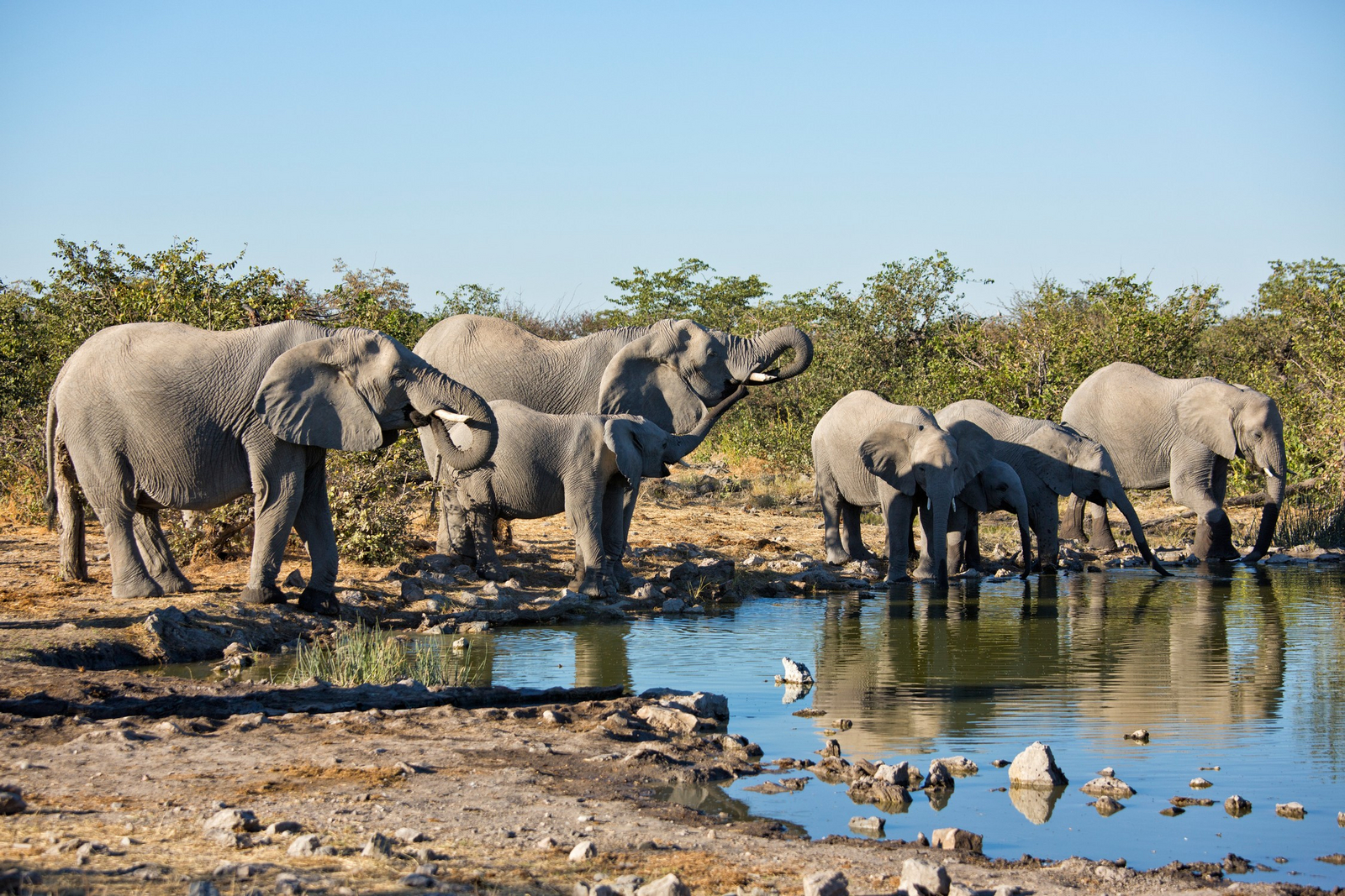 Etosha Heights Game Reserve Etosha Heights Game Reserve: Tiere und Landschaft