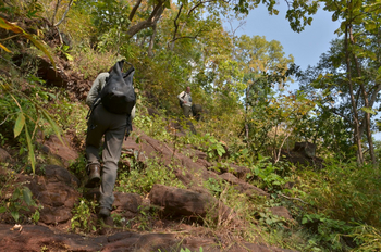 Forsyth Lodge Forsyth Lodge: Wanderung in der Pachmarhi-Region