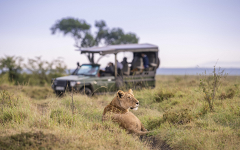 Little Governors' Camp: Game Drive
