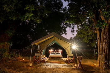 Mana River Camp Mana River Camp: Beleuchtetes Zelt