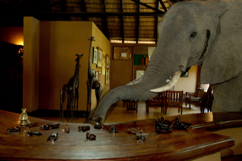 Mfuwe Lodge: Elefanten in der Lobby