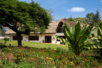 Ngorongoro Farmhouse: Blumenwiese