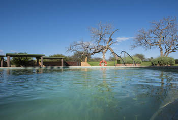 Okonjima Plains Camp: Swimming Pool