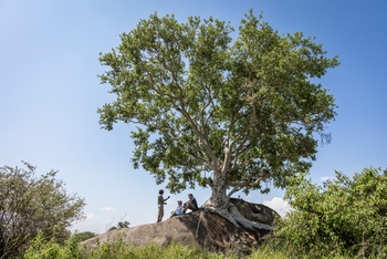 Olakira Migration Camp: Guide mit Gästen