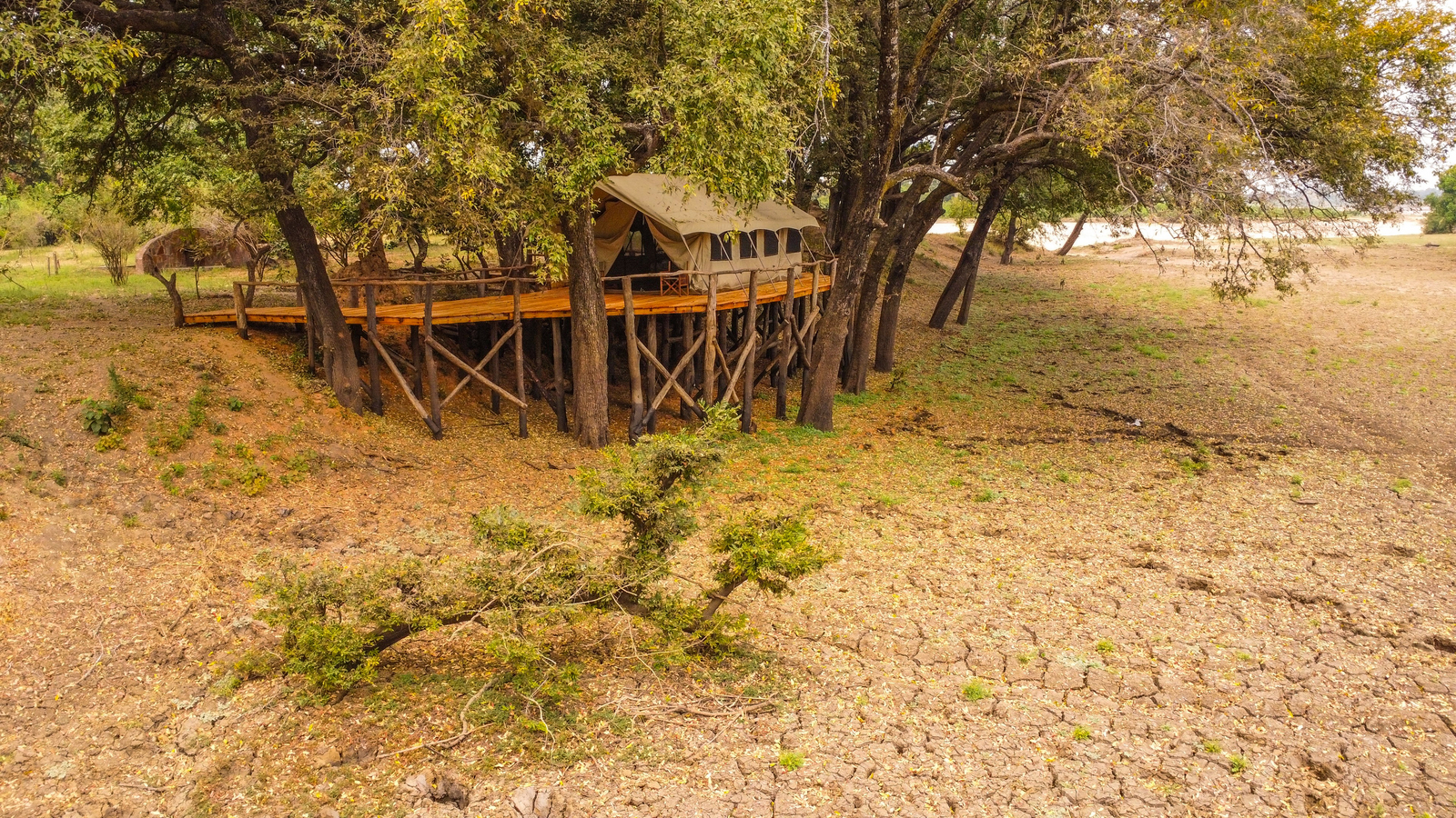 Painted Dogs Lagoon Camp Painted Dogs Lagoon Camp: Gästezelt