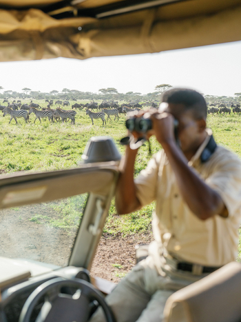 Roving Bushtops Camp: Guide