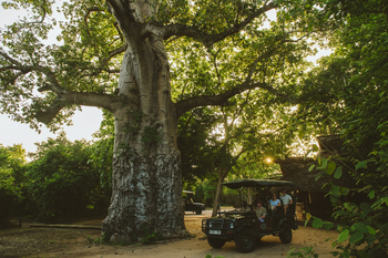 Rufiji River Camp: Gäste auf Safari