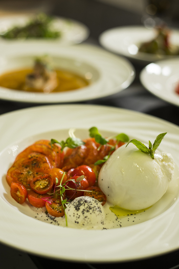 Taj Santacruz, Mumbai: Tomate Mozzarella