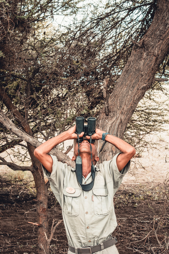 Tau Pan Camp Tau Pan Camp: Beobachter