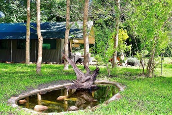 The Woodlands: Vogeltränke