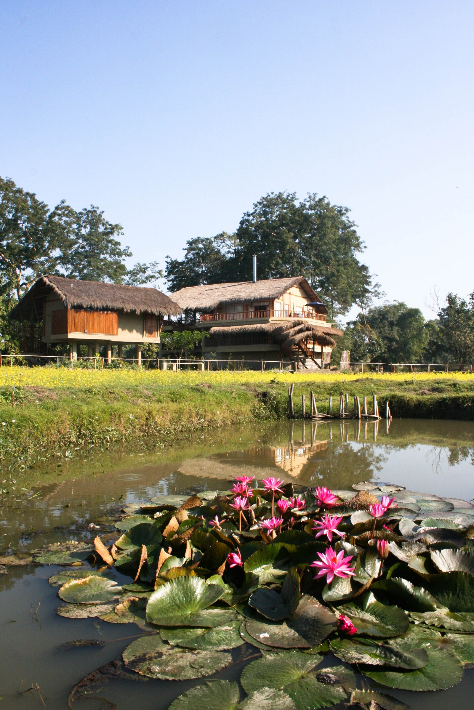 Diphlu River Lodge Diphlu River Lodge: Hauptgebäude