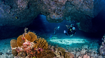 Astove Coral House: Unterwasserhöhle