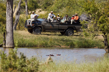 Cheetah Plains: Gäste beobachten Flusspferde vom Safariwagen