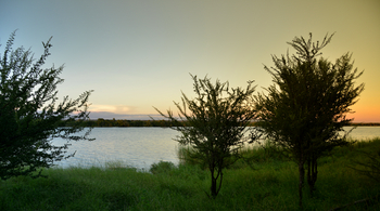 Chobe Bakwena Lodge Chobe Bakwena Lodge: Aussicht auf den Fluss
