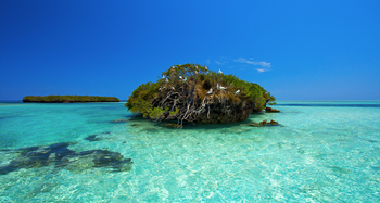Cosmoledo Eco Camp: Seevögel auf einm Inselchen