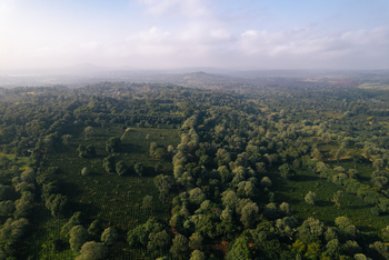 Gibb's Farm: Blick über die Landschaft von oben