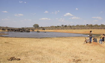 Ivory Safari Lodge Ivory Safari Lodge: Walking Safari zum Wasserloch