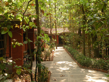 Kanha Jungle Lodge: Superior Room