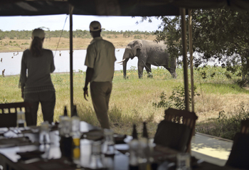 Kicheche Laikipia Camp: Frühstück mit Elefant