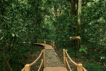 Koroi Forest Camp: Schild Wildlife Crossing