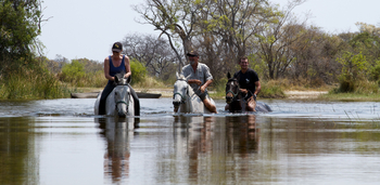 Kujwana Camp: Durch den Fluss mit Pferden