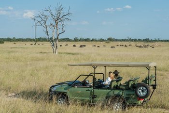 Linkwasha Camp Linkwasha Camp: Game Drive durch Grasland