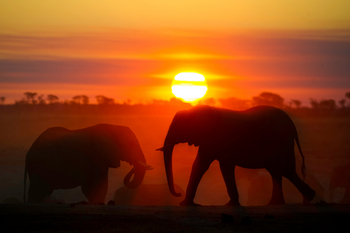Little Makalolo Camp Little Makalolo Camp: Sonnenuntergang