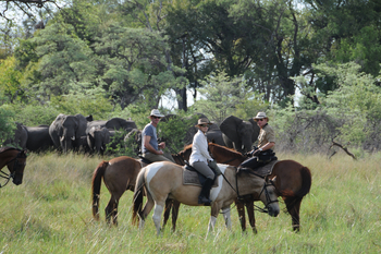 Macatoo Camp: Pferde vor Elefanten