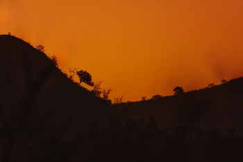 Mkomazi Wilderness Retreat: Leuchtender Sonnenuntergang über Hügeln mit Baum-Silhouette