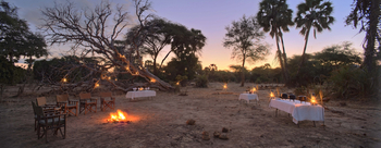 Sausage Tree Camp: Bush Dinner