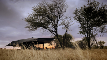 Siringit Migration Camp: Zelt am Abend