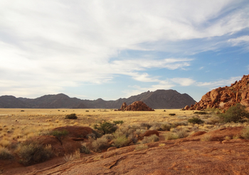Sossusvlei Lodge: Trockensavanne