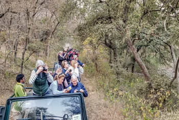 The Kipling Lodge: Game Drive