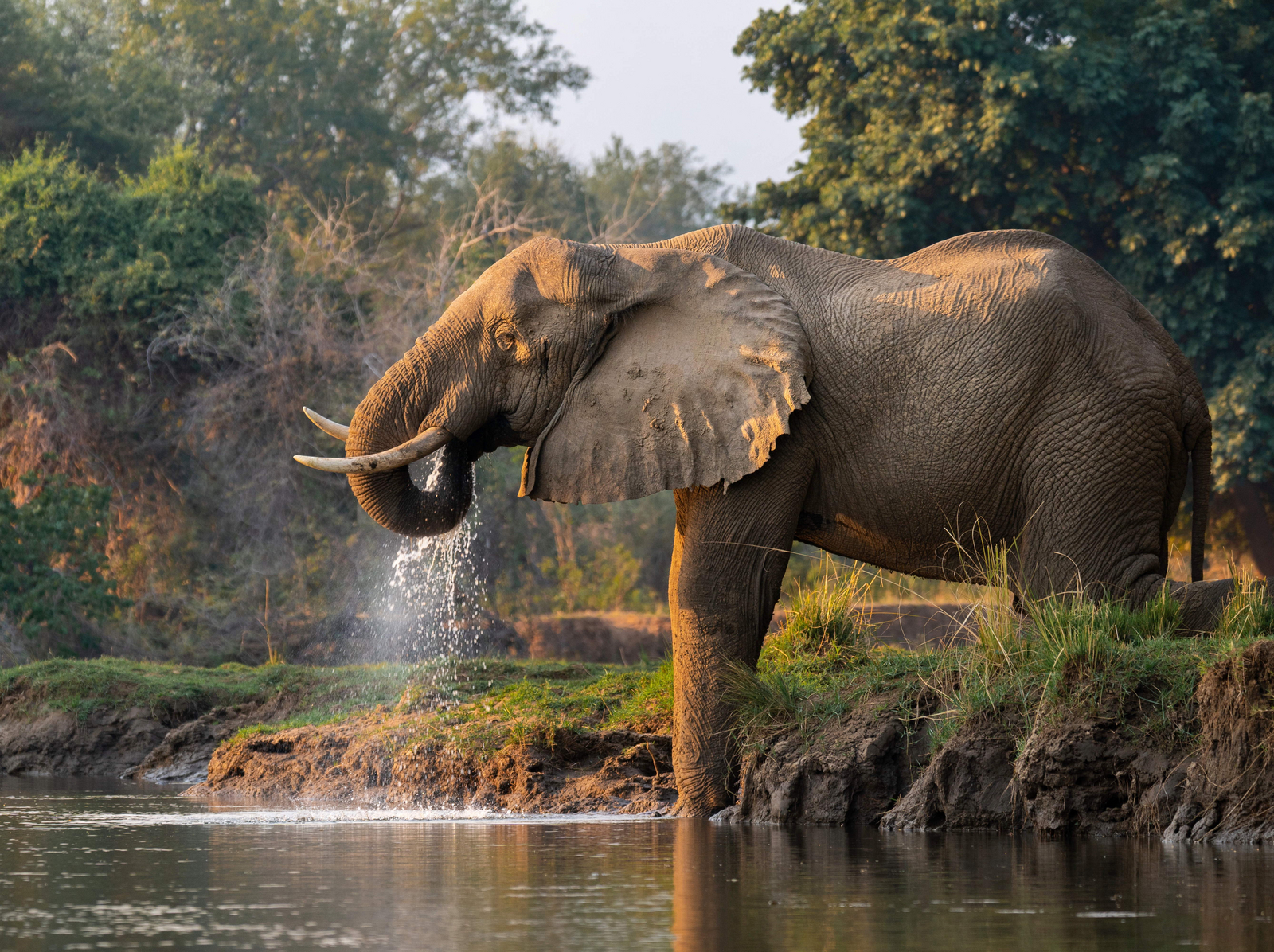 Time + Tide Chongwe Time + Tide Chongwe