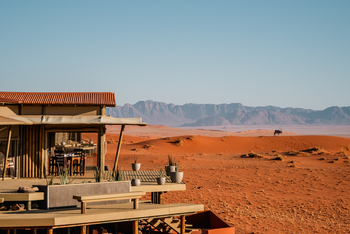 Wolwedans Desert Lodge: Oryx vor der Lodge