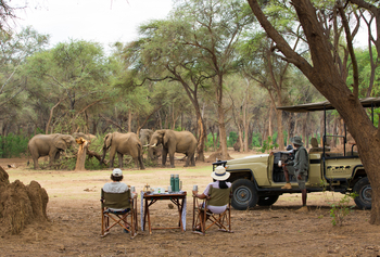 Amanzi Camp: Picknick mit Elefanten