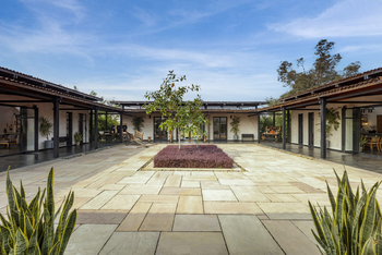 Bori Safari Lodge: Junger Baum im Innenhof