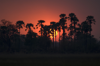 Chief's Island: Sonnenuntergang