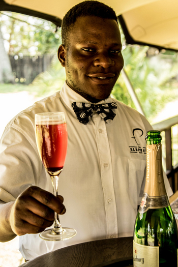 Chundukwa River Lodge: Elephant's Cafe