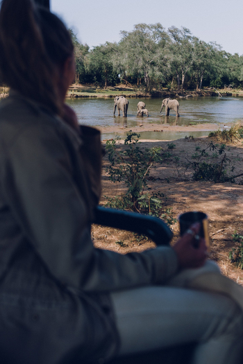 Classic Zambia Safaris Classic Zambia Safaris: Game Drive