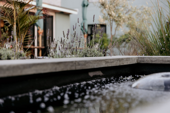 Fancy Fritz B&B: Teich