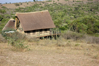 Kasenyi Safari Camp: Gästechalet im Euphorbienwald