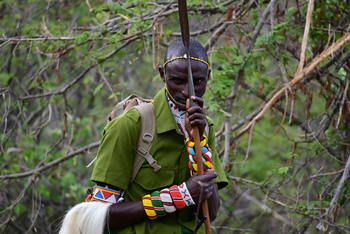 Kitich Forest Camp: Bewaffneter Guide