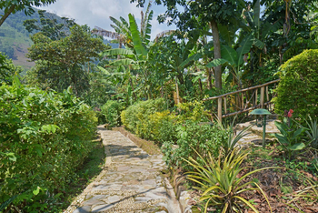 Mahogany Springs Safari Lodge: Pfad