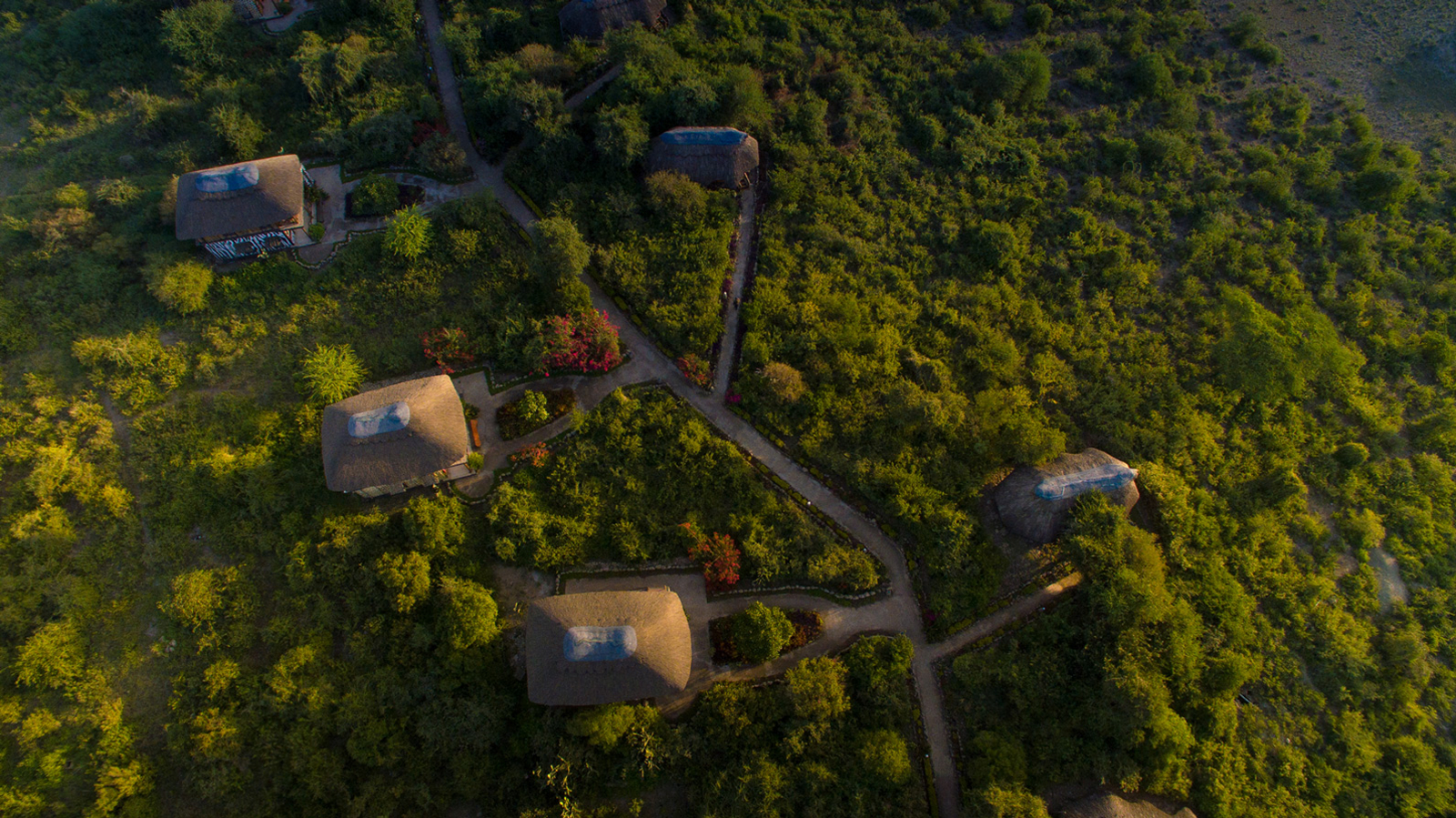 Manyara Lakeview Oasis Manyara Lakeview Oasis: Cottages und grüne Landschaft