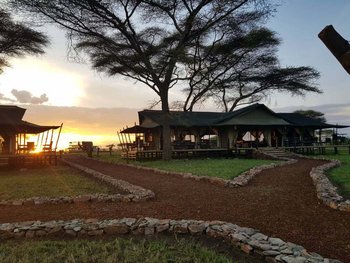 Ole Serai Camp Turner Springs: Wege im Camp